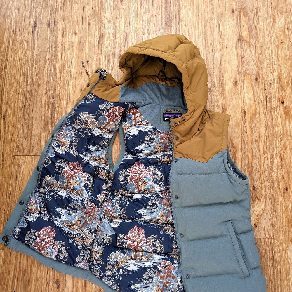Patagonia Bivy Hooded Down Vest